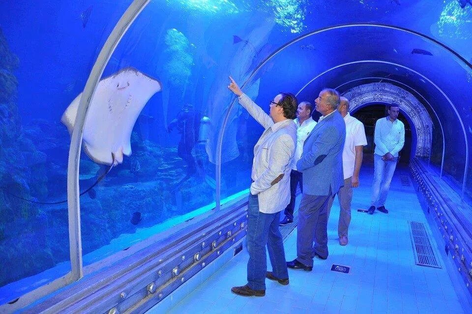 Океанариум хургада. Гранд аквариум Египет. Океанариум Hurghada Grand Aquarium. Египет Хургада Гранд аквариум. Аквариум Хургада Гранд (г. Хургада).