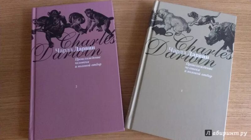 Энциклопедия для детей человек происхождение. Происхождение человека книга. Происхождение человека книга для детей. Книга происхождение человека. Книга происхождение человека.