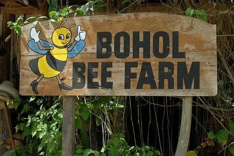 Bee farm