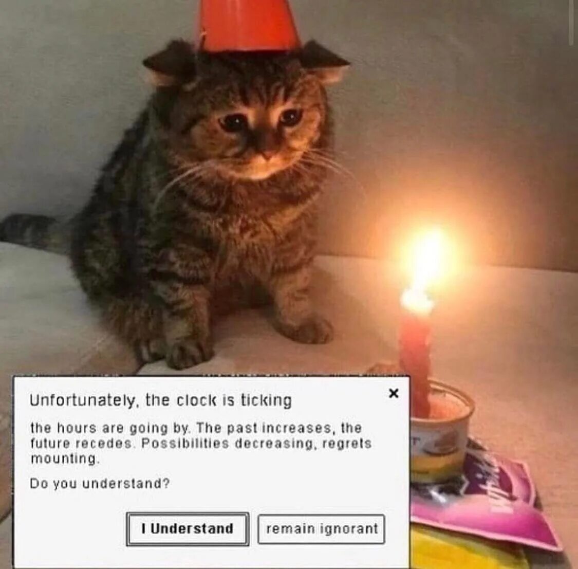 You understand this rule