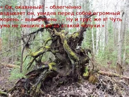 Вздохнула корень