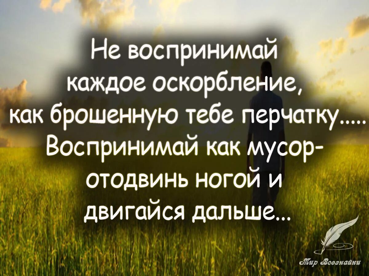 Высказывания о негативных людях. Высказывания про оскорбления. Цитаты про оскорбления. Цитаты про оскорбления и унижения. Умные высказывания.