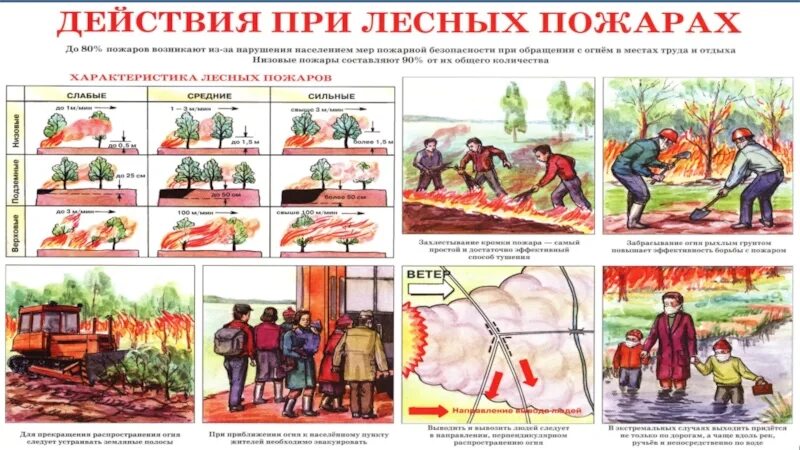 Первая помощь при лесных пожарах. Лесной пожар эвакуация. Эвакуация при Лесном пожаре. Эвакуация из зоны лесного пожара.