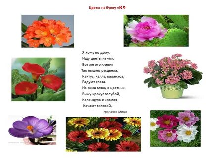 Цветы начинающиеся на букву г
