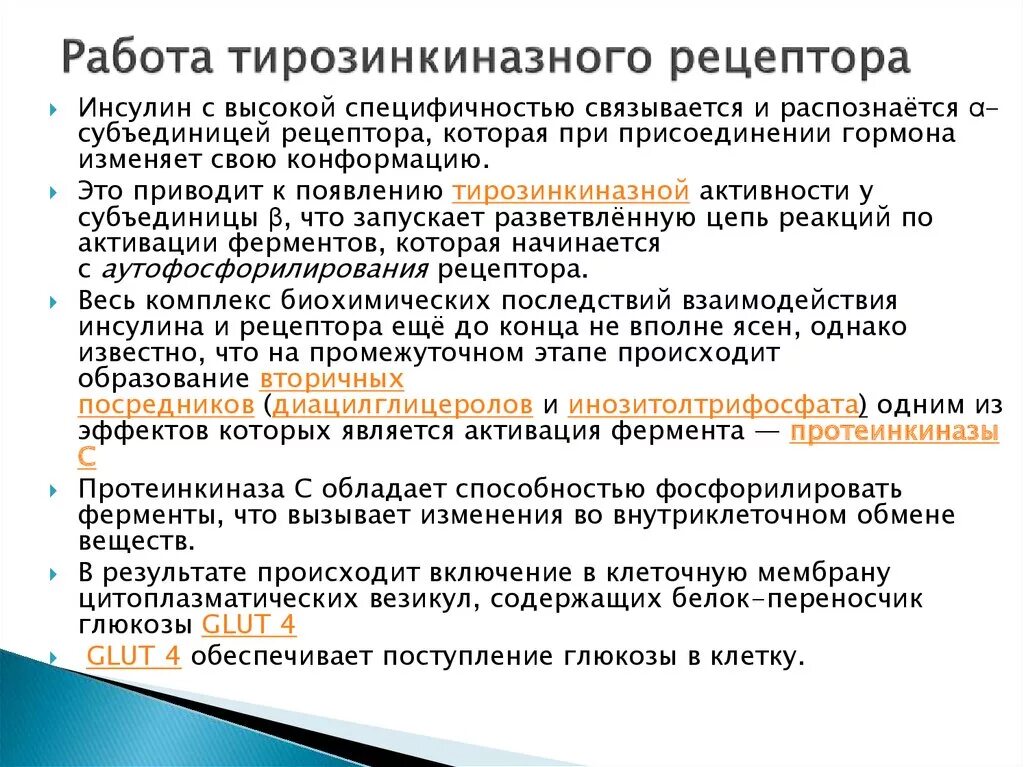 Механизм действия тирозинкиназных рецепторов. Рецепторы тирозинкиназы. Рецепторы тирозинкиназы. Механизм трансдукции сигнала тирозинкиназных рецепторов. Тирозинкиназные рецепторы механизм.