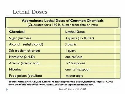 Lethal company перевод на русский