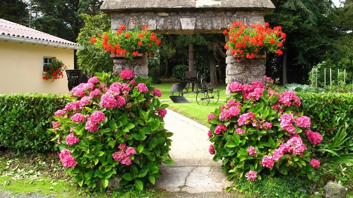 Фото клумбы с цветами возле дома. Миксбордер около беседки. Английский сад розарий. Сад пионов. Миксбордер возле беседки.