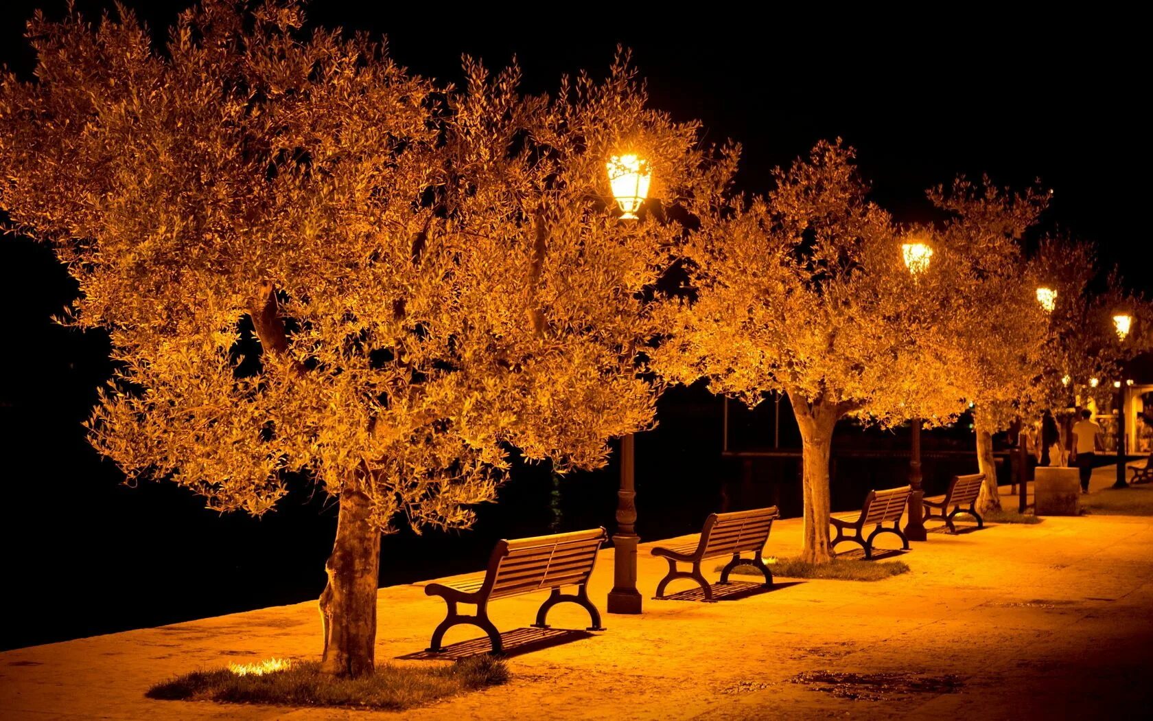 Осенняя ночь. Аллея в парке ночью. Осенний парк вечером. Осенний вечер в городе. С какой работы вечером