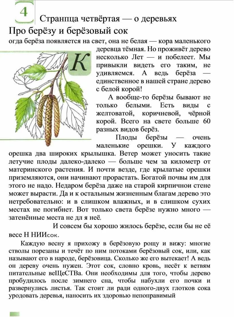 Сочинить маленькое стихотворение о березе. Сказка про березку. Берёзка стихотворение. Стихотворение про березу осенью. Белая берёза под моим окном.
