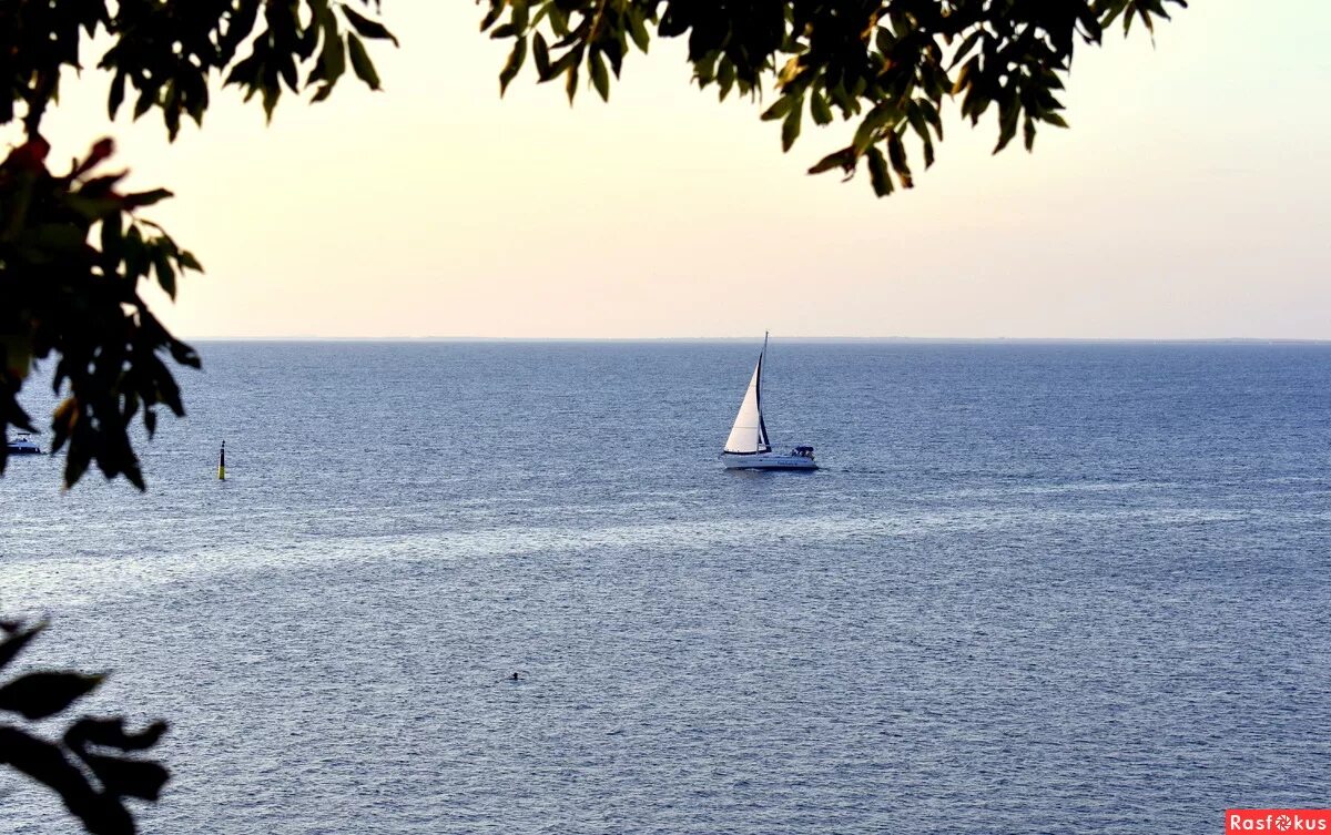 самара белый парус. белый парус киргизия. белый парус в море фото. белый парус казахстан. белый корабль.
