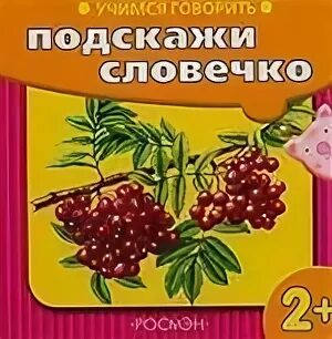 Книги о рябине для детей. Грусть рябины на книге картинки. Господь листает книгу с рябиной. Горькая рябина на книге в конце жизни. Читать книгу рябиновая невеста