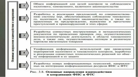 Взаимодействие таможенных органов с правоохранительными органами