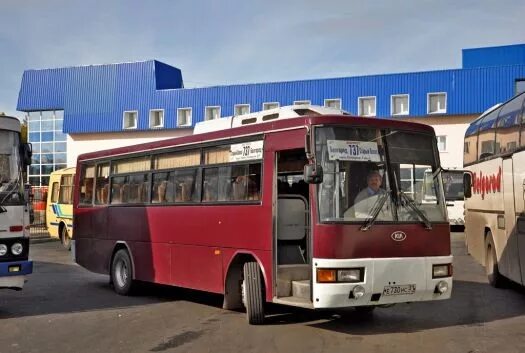 Белгород старый Оскол автобус. Автобус Курск. Курск Белгород автобус. Автобус старый Оскол.