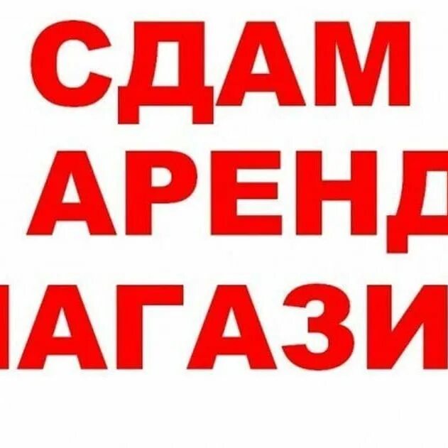 Объявление сдать в аренду. Сдается в аренду. сдается в аренду помещение реклама. табличка сдается в аренду. сдается в аренду надпись.