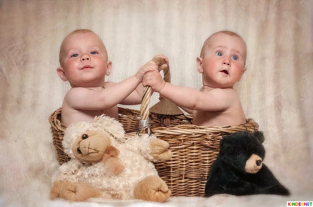 Фото детей можно выкладывать. Младенец в корзинке. Двое малышей. Фотосессия двух малышей. Близняшки в корзине.