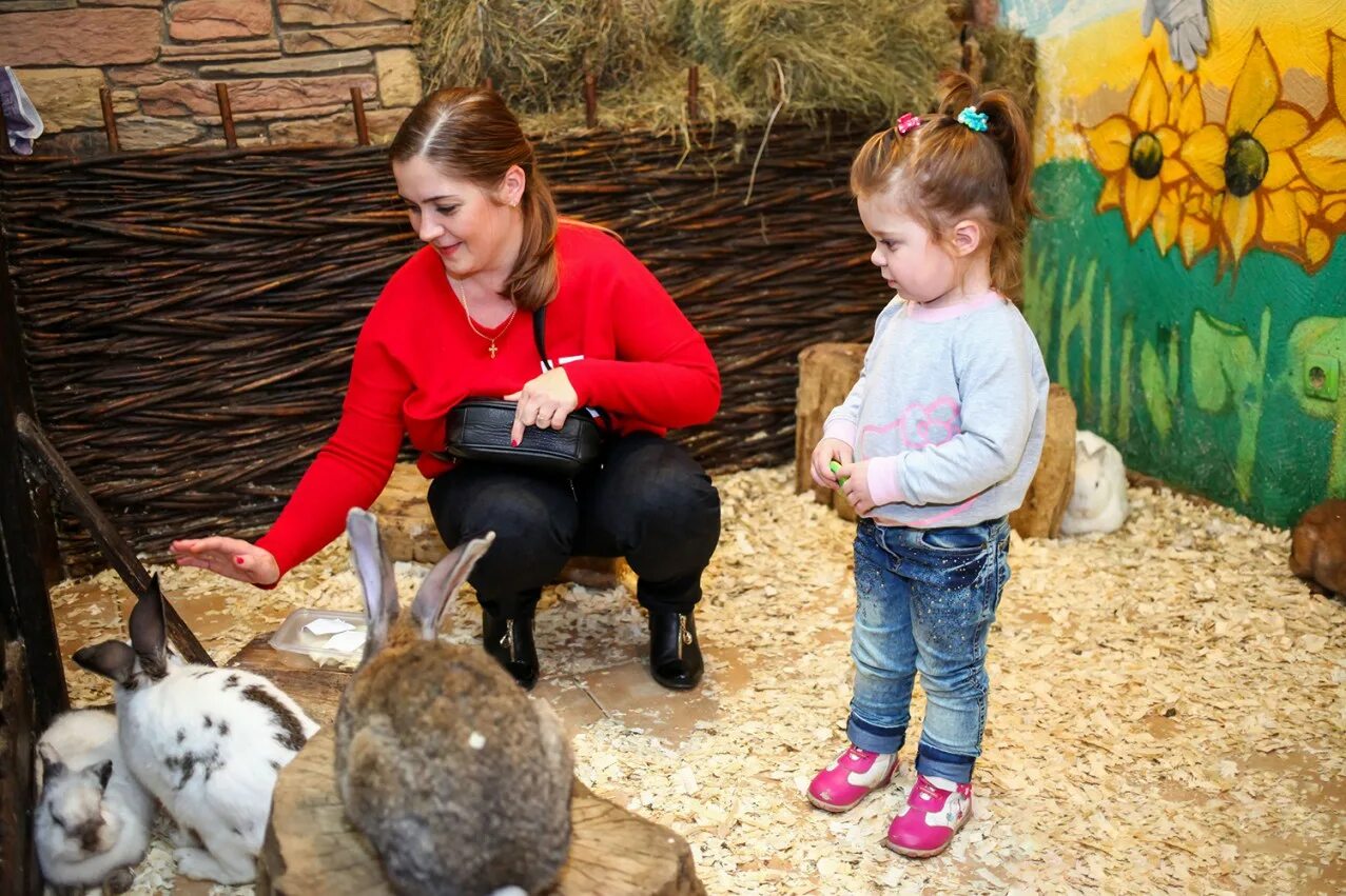 трогательный зоопарк в хабаровске. контактный трогательный зоопарк. погладь енота трогательный зоопарк. контактный зоопарк в континенте на бухарестской. трогательный зоопарк.