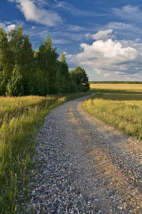 Поселковая дорога. Сельская дорога. Деревенская дорога. Дорога в селе.