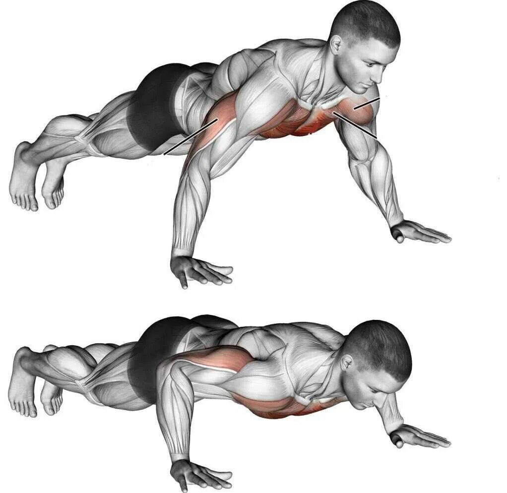 Передняя дельта с гантелей. Опишите комплекс силовых упражнений с гантелями. Как накачать бицепс гантелей. Упражнения с гантелями на бицепс и трицепс. Какие мышцы и какими упражнениями качать гантелями.