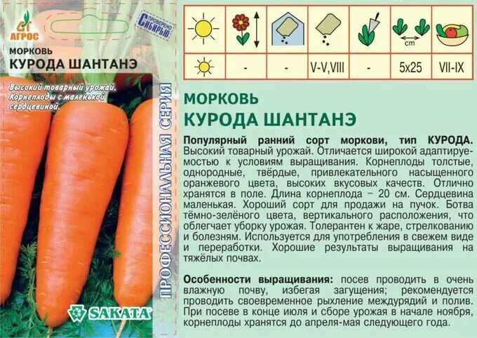 Морковь "Лосиноостровская 13" - eТеплица