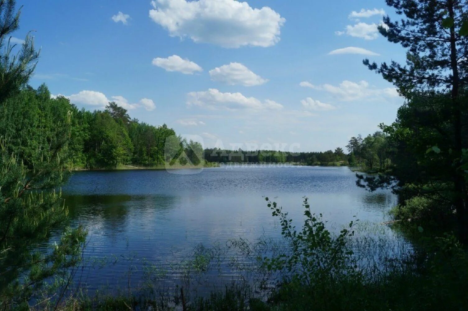 Озеро черепаха Сосновский район Нижегородская область. Черепашьи озера Сосновский район. Сосновское озеро Нижегородская область. Озеро Рой Сосновский район Нижегородская область. Сосновское нижегородской области озера