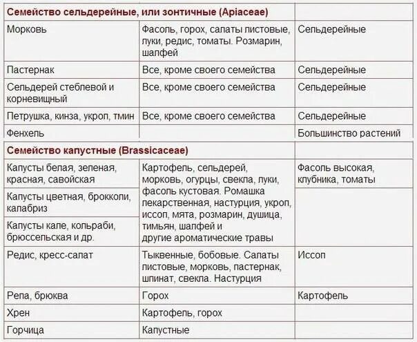 Можно ли лук после моркови. Морковь соседи по грядке овощи таблица. Совместимость растений на грядке. Соседство овощных культур на грядке. Соседи на грядке совместимость растений.