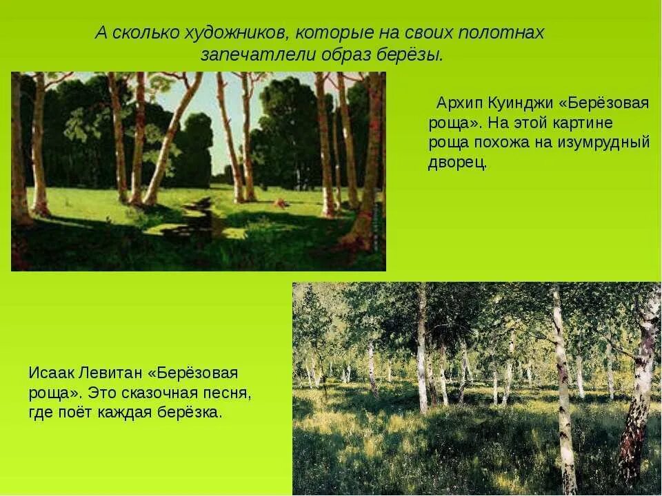 Березовую рощу считают природным сообществом так