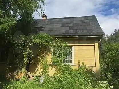 Карташевская ленинградская область. Карташевская ленинградская область. Карташевская ленинградская область. Карташевская ленинградская область. Карташевская.