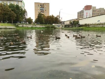 Кирова 23 мурманск
