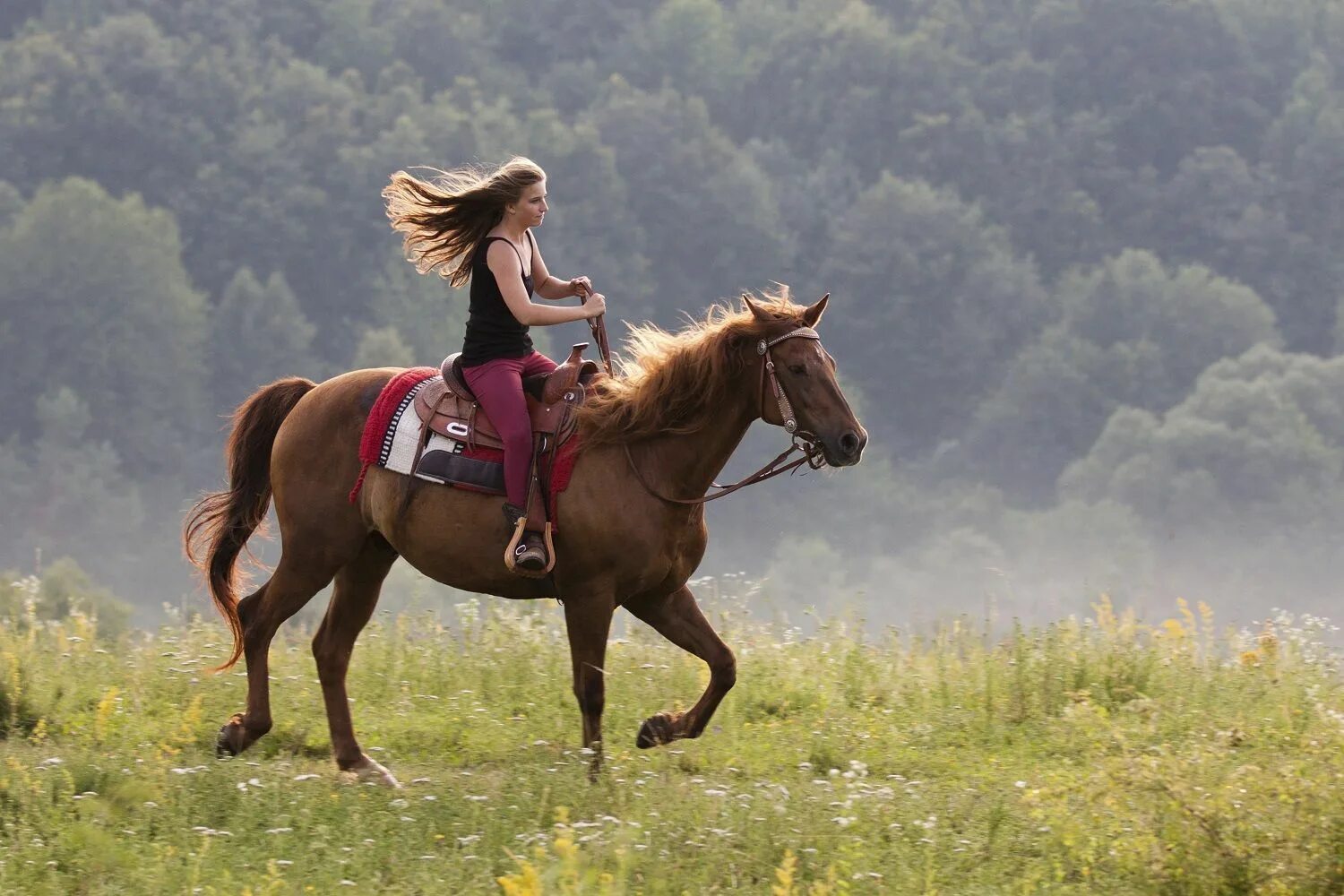Ж кон. Прогулка на лошадях. Девушка едет на коне. Верхом на коне. Лошадь скачет.