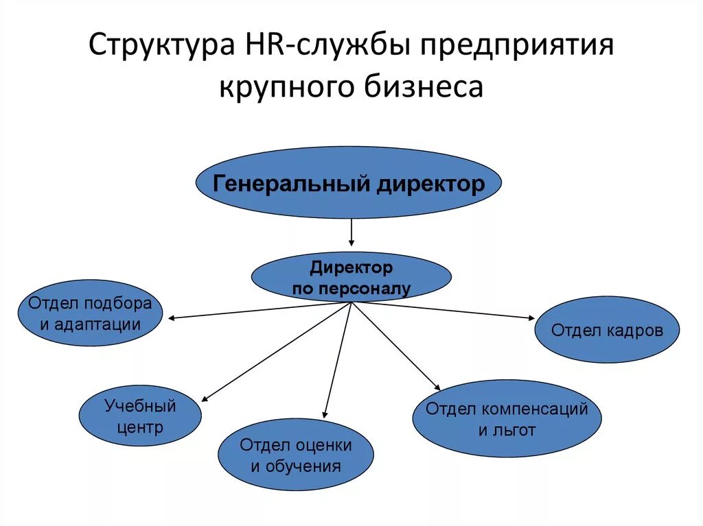 Служба организации. Организационная структура HR отдела. Структура HR департамента. HR-Департамент структура отделов. Структура компании HR-службы.
