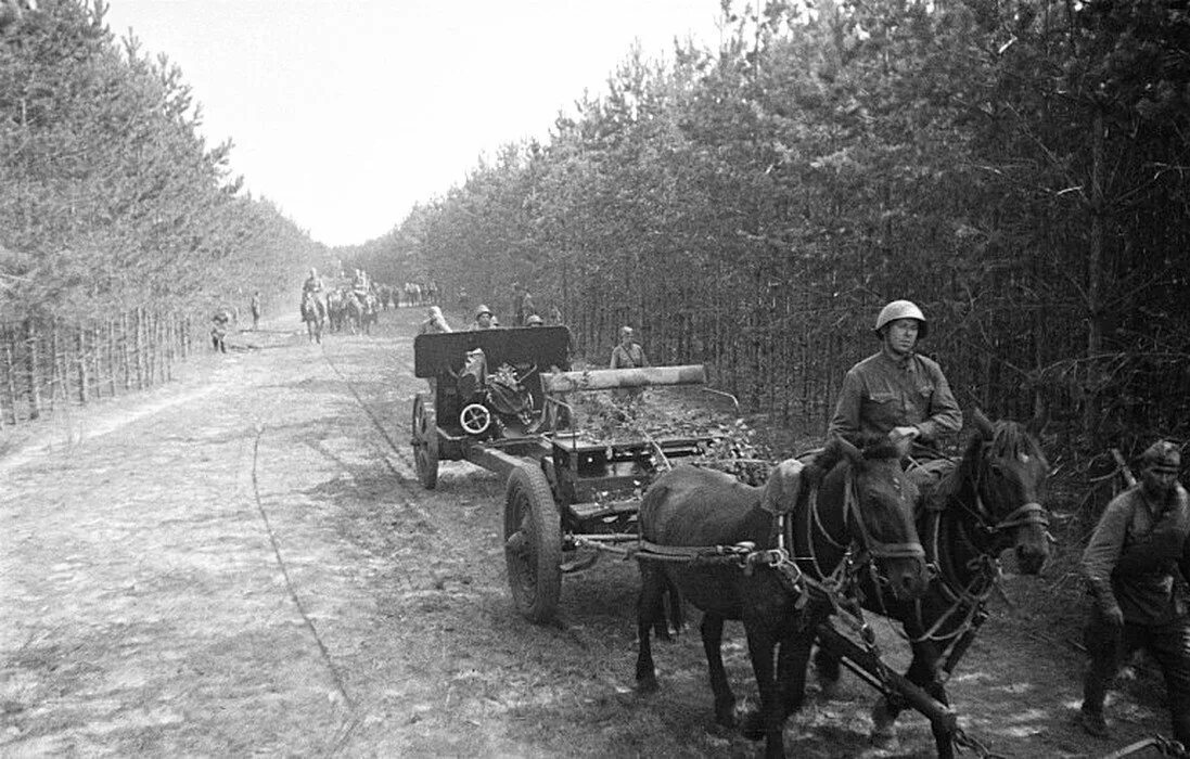 Гужевой транспорт РККА В ВОВ 1941-1945 гг. Артиллерия РККА на конной тяге. Конная артиллерия в Великой Отечественной войне 1941. 45-Мм противотанковая пушка на конной тяге.