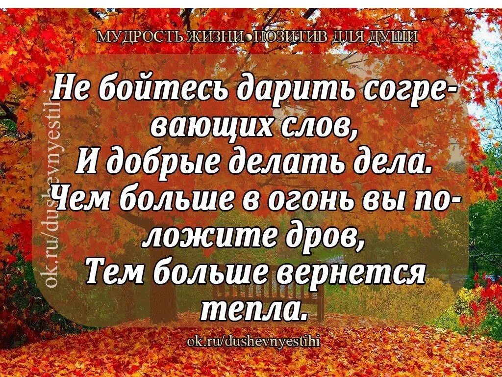 Мудрость жизни. Мудрость жизни позитив для души. Мудрости из жизненного опыта. Мудрость жизни в картинках с надписями. Мудрость жизни просто