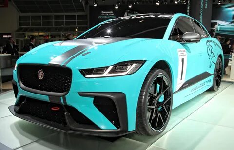 Jaguars 1
