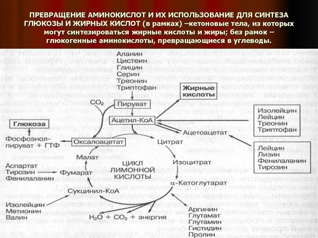 Путь преобразований
