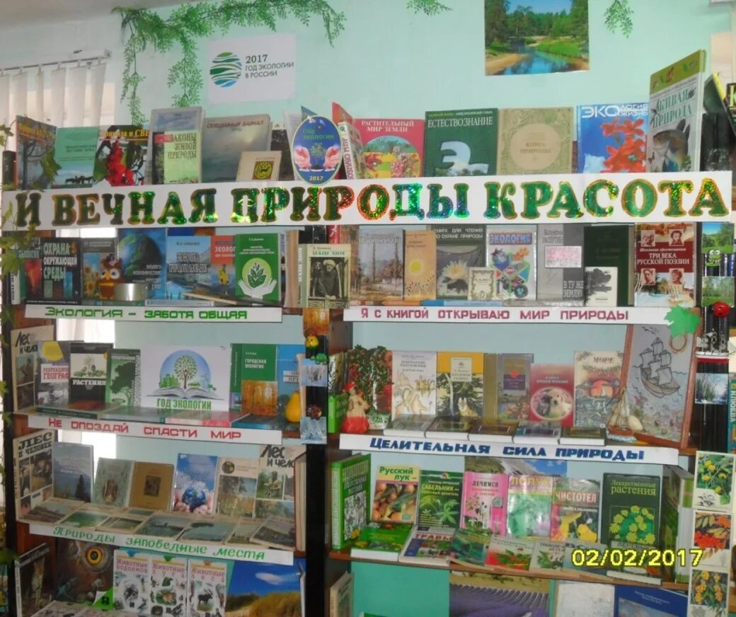 Отчет библиотека природа. Отчет библиотека природа. Книги по экологии выставка. Выставка книг о природе в библиотеке. Тематические выставки в библиотеке.