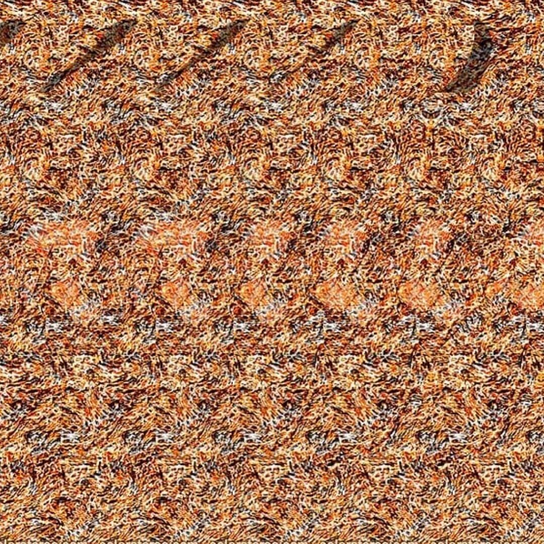 стереоглаз 3д. трехмерное. стереокартинка будда. стереограмма будда. стереокартинки 3д для глаз.