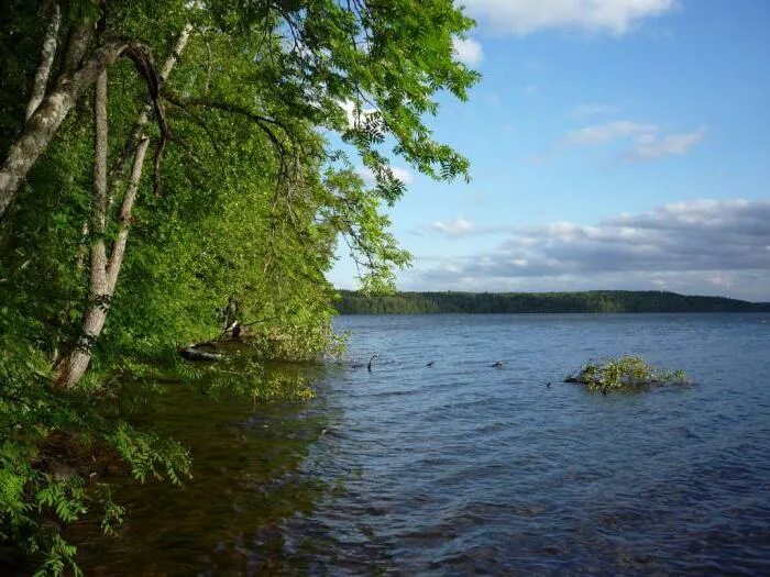 Оз глубокое Ленинградская область. Озеро глубокое Ленинградская область. Озеро глубокое Кингисеппский район. Озеро глубокое Ленинградская область Выборгский.