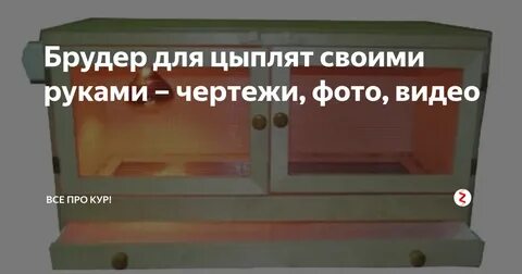 Размеры брудера для цыплят чертежи