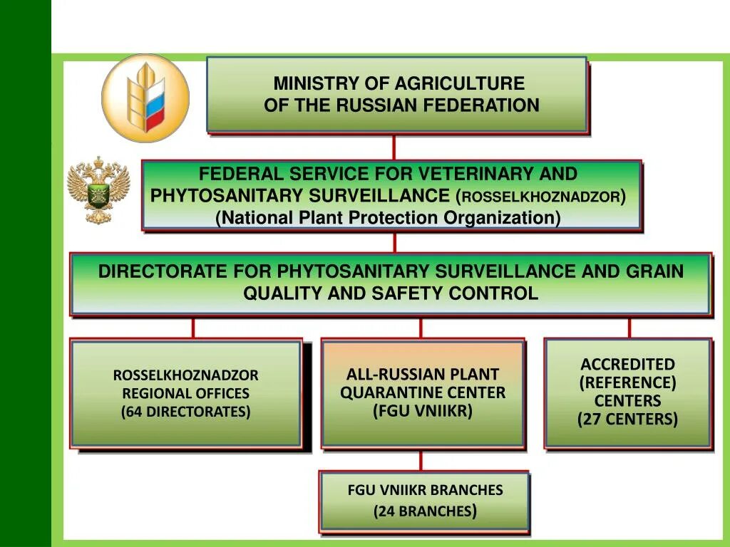 Проверки подведомственных организаций. Схема департамента ветеринарии Минсельхоза РФ. Минсельхоз РФ структура. Функции органов Министерства сельского хозяйства. Функции департамента ветеринарии МСХ РФ.