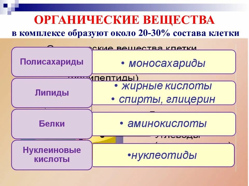 Значение органических и неорганических веществ. Органические вещества клетки. органические соединения клетки. органические вещества клетки классификация. органические вещества клет.