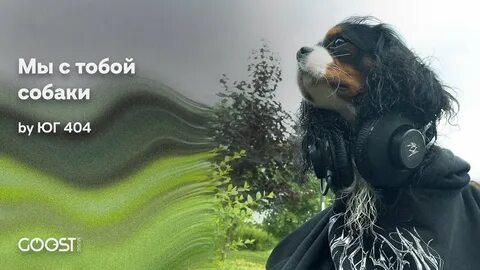 Юг 404 текст