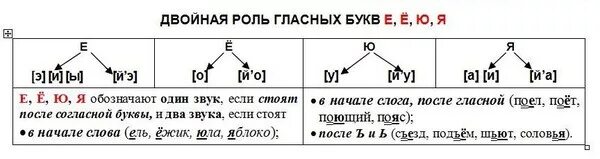 Звуки слова век. Е Ё Ю Я обозначают два звука в начале слова. Гласные е я ё ю в начале слова. Слова после гласныхных. После гласных.