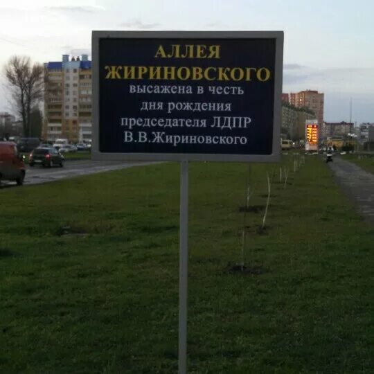 Памяти жириновского. Дом жириновского в кузьминках. Улица имени жириновского. Аллея жириновского воронеж где. Аллея жириновского воронеж где.