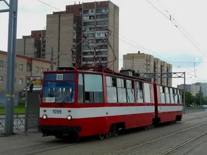 Трамвай 49