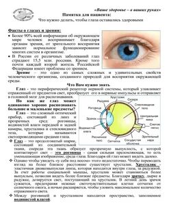 Факты про глаза