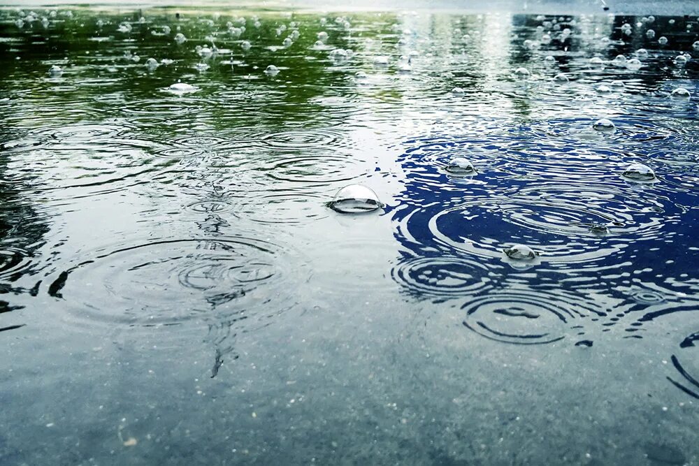 Везде лужи воды. Лужица воды. Цвет воды в реке. Пузыри на лужах. Дождь на воде.