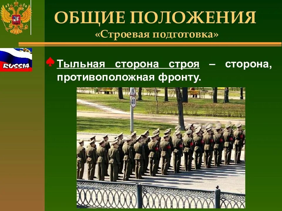 Строение строя