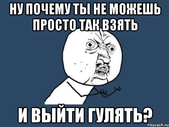 Можно выйти погулять. Го гулять. Кто пойдет гулять. Мемы про гулять. Мемы про прогулки.