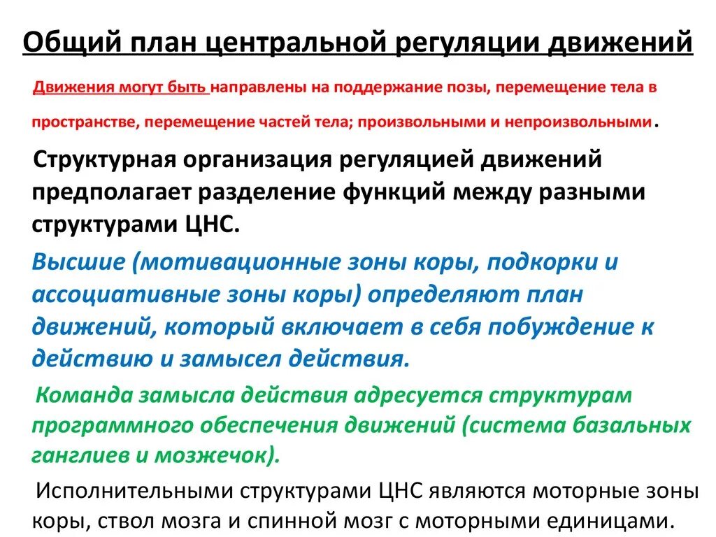 Организация движения роль. Центральные механизмы организации движений физиология. Организация центральной регуляции движений. Общая схема регуляции движений. Основные принципы регуляции движения у человека.