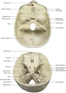 Clivus латынь